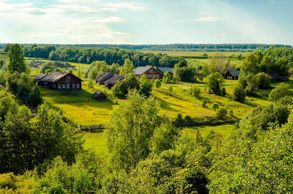 Возле деревни. Деревня в лесу. Деревня возле леса. Природа вокруг деревни. Русская деревня в лесу.