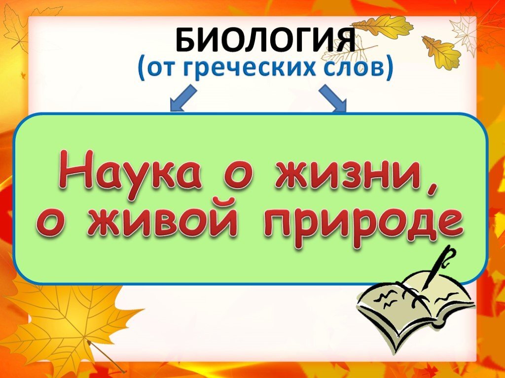 Интересные вопросы по биологии. Что такое биология окружающий мир 3 класс. Науки изучающие биологию 5 класс. Что такое биология окружающий мир 3 класс. Что такое биология окружающий мир 3 класс.
