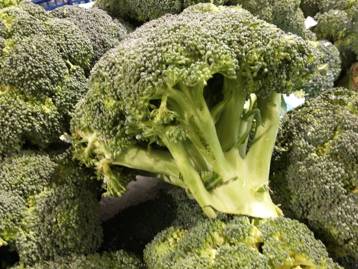 На фото свежие брокколи