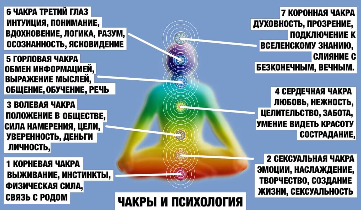 Чакры гаряева. Корневая чакра. Корневая чакра расположение. Корневая чакра у женщин. Чакры и психологические проблемы.