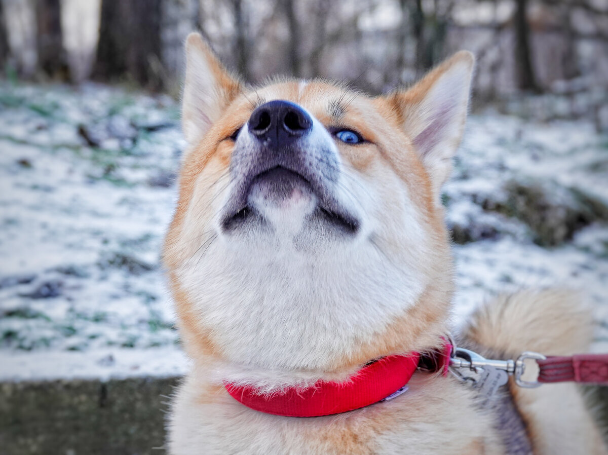 По нему в принципе сразу все понятно. Мы знали на что шли, никаких иллюзий не испытывали. Зато скучать не приходится, хотя иногда очень хочется