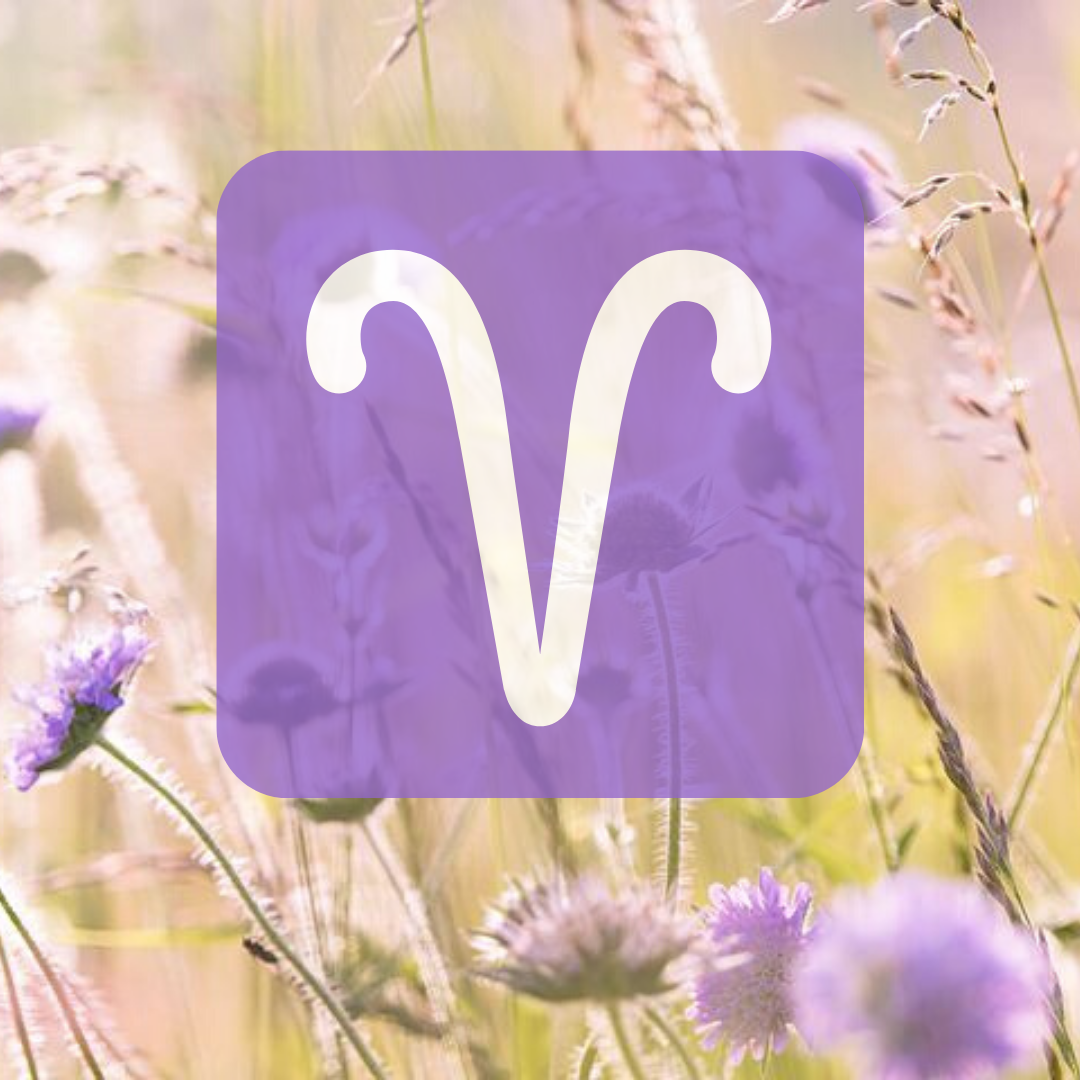 яндекс-картинки