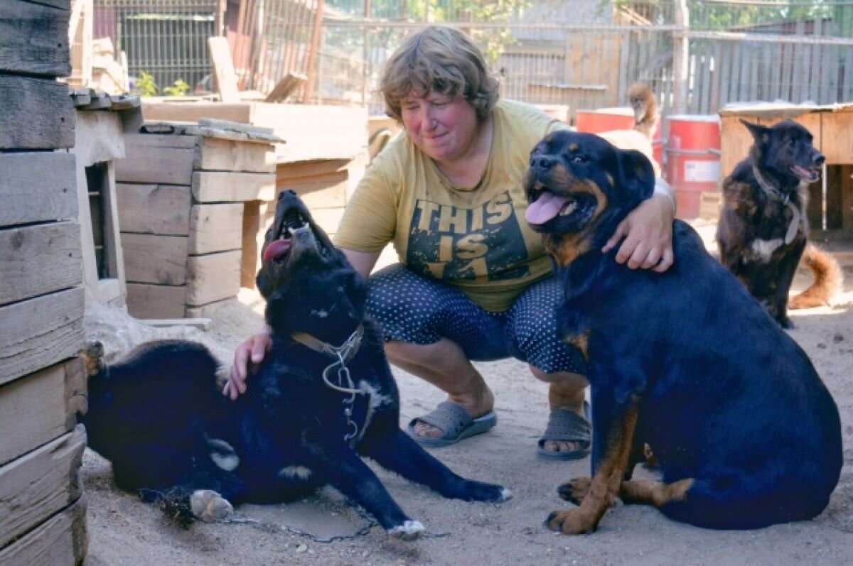    В Бежецке женщина уехала в глушь, чтобы спасать жертв жестокого обращения