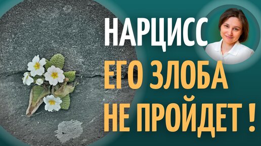 Границы с нарциссом. Личные границы в отношениях с нарциссом.