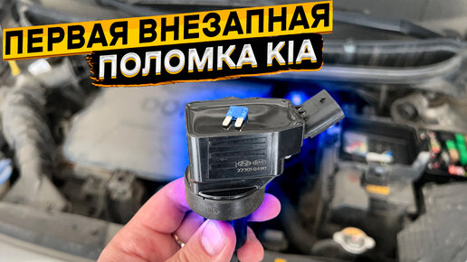 Не горит чек и машина не заводится, а стартер крутит, что делать? Honda Accord