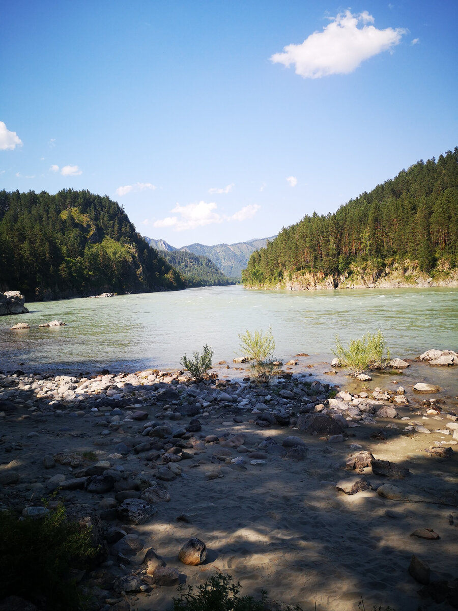 Катунь. село Аскат.