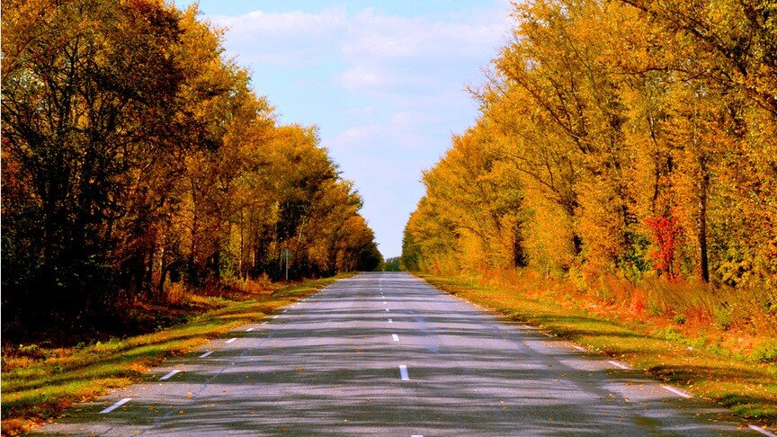 Яндекс. Картинки