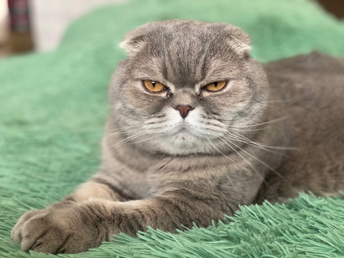 "Подходи по одному"