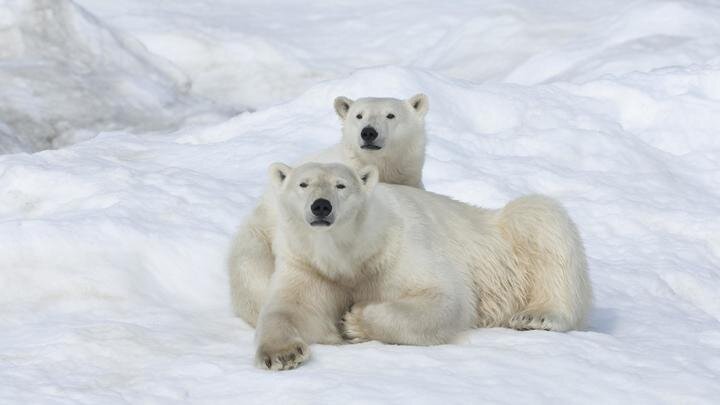 ФОТО: GTW/GLOBALLOOKPRESS