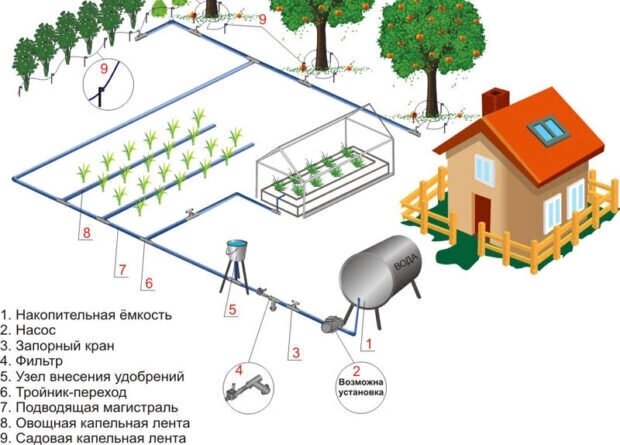 Полив в теплице пластиковыми бутылками