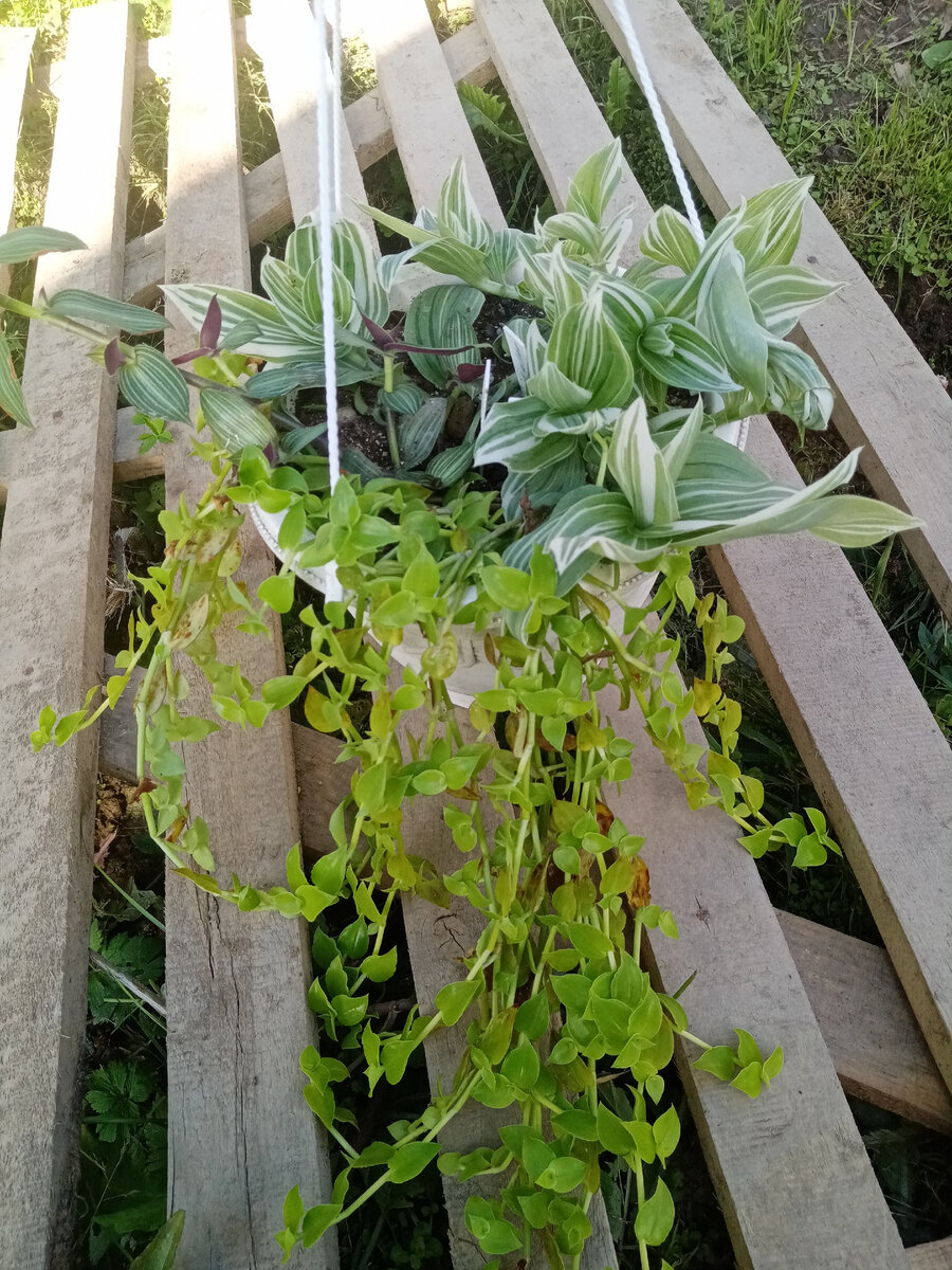 Здесь примерно средина лета