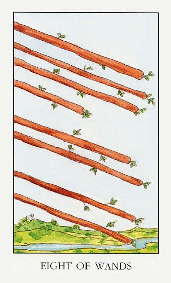 8 жезлов, как ответ на вопрос, какова основная причина выпадения волос кверентки.