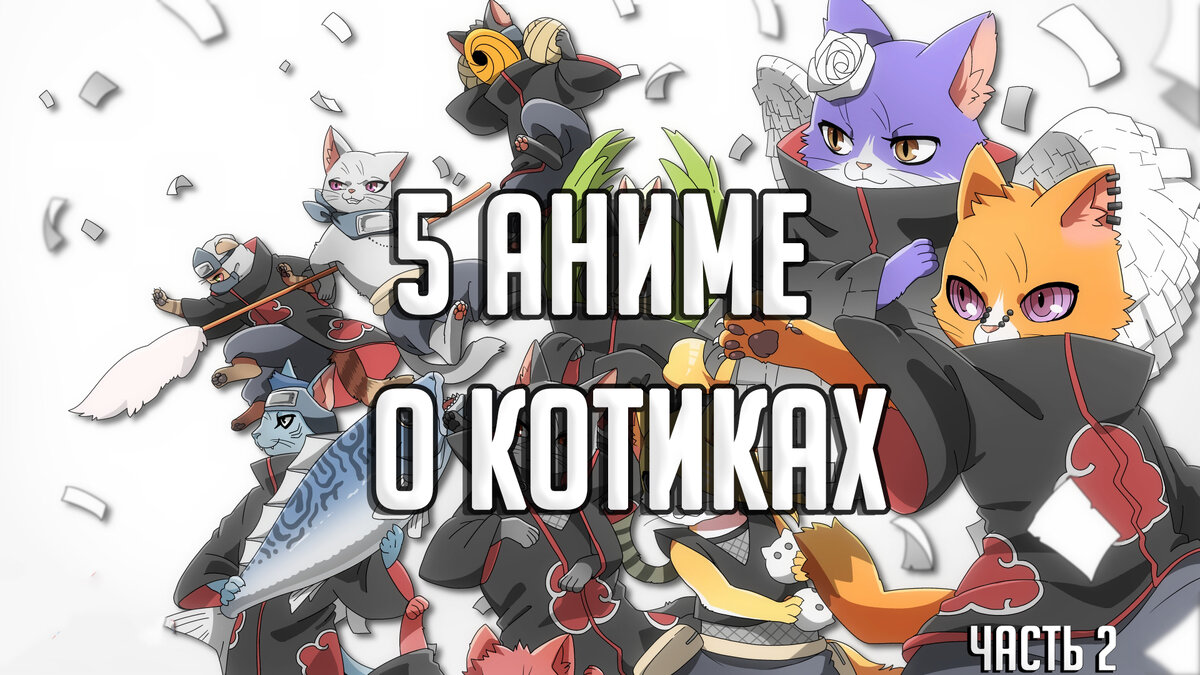 Ещё котики!!! Подборка аниме о милых пушистиках! Топ 5 (часть 2) 🙀 |  CatCut Anime(новый) | Дзен