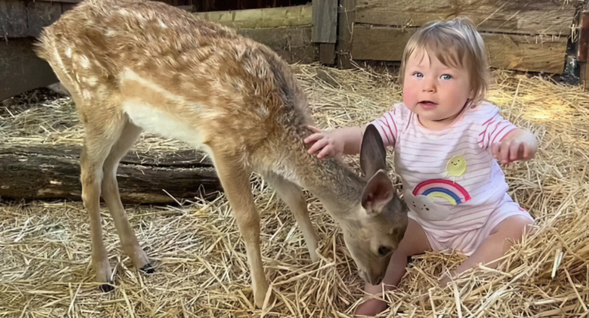 Фото: Jeremy Goldsmith / SWNS