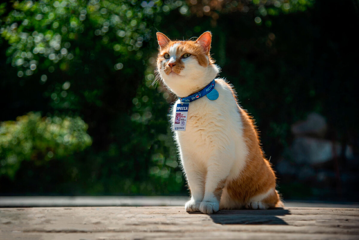 Оторвал коллег от дел и вытащил на прогулку. Добавьте описание
