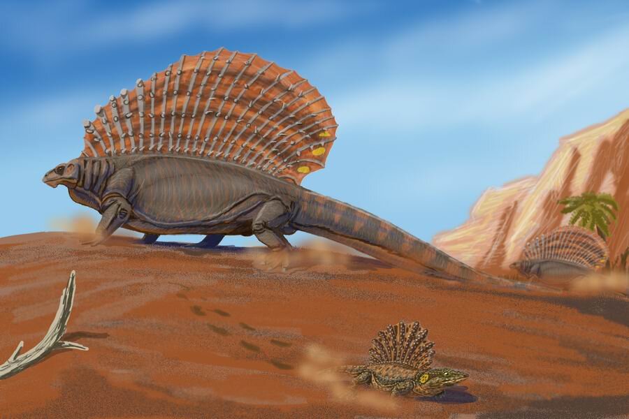 Edaphosaurus pogonias. На переднем плане — платигистрикс