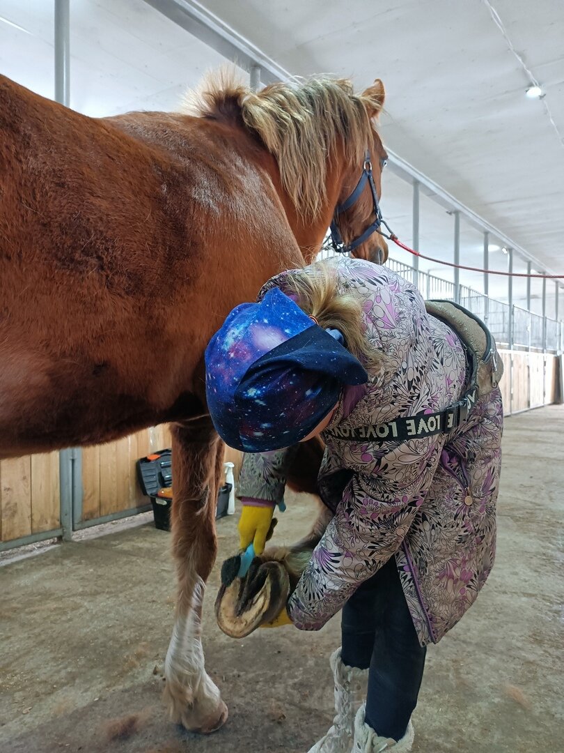 Чистка копыт