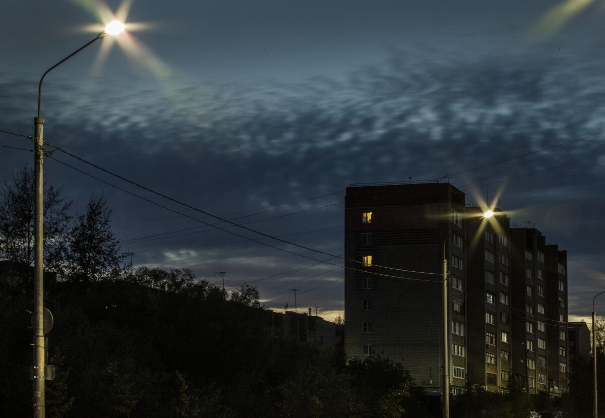 Фото: Александр Панов