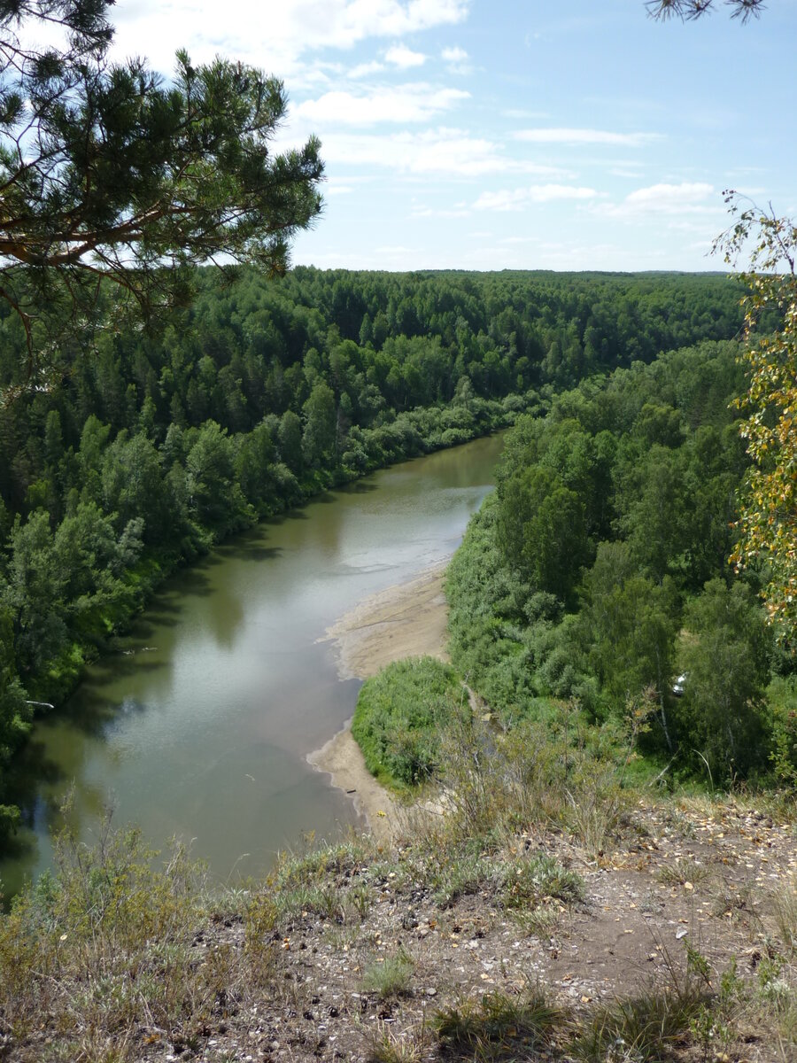 река бердь новосибирской области