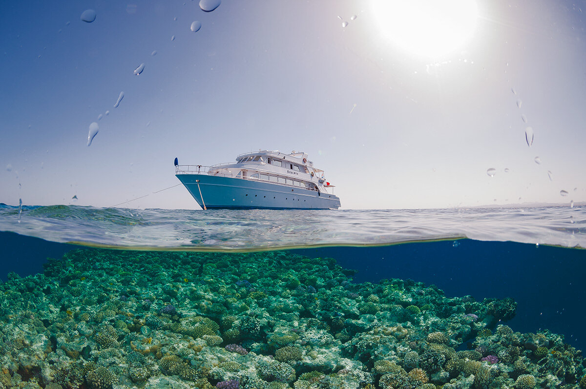 Египет красное море Пинтерест