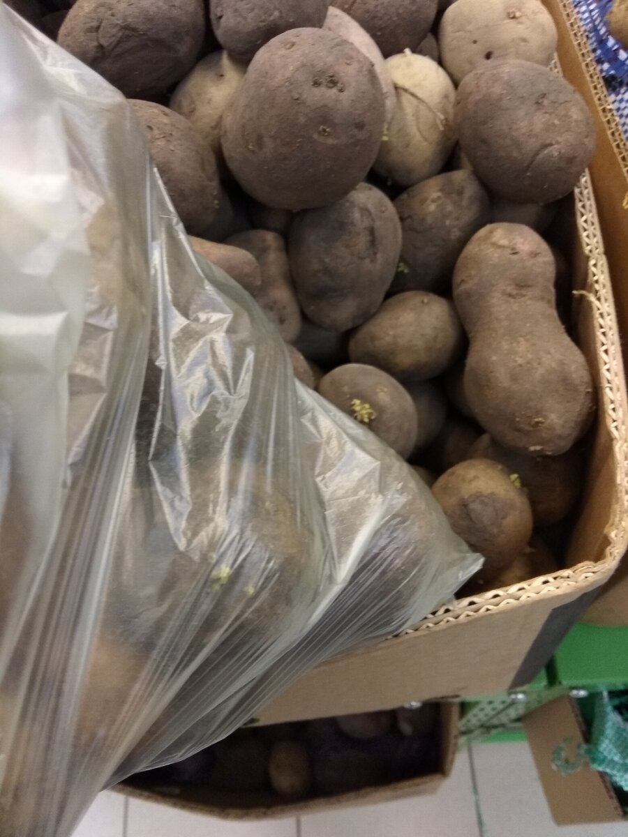 выбираю ту самую картошку на рынке.