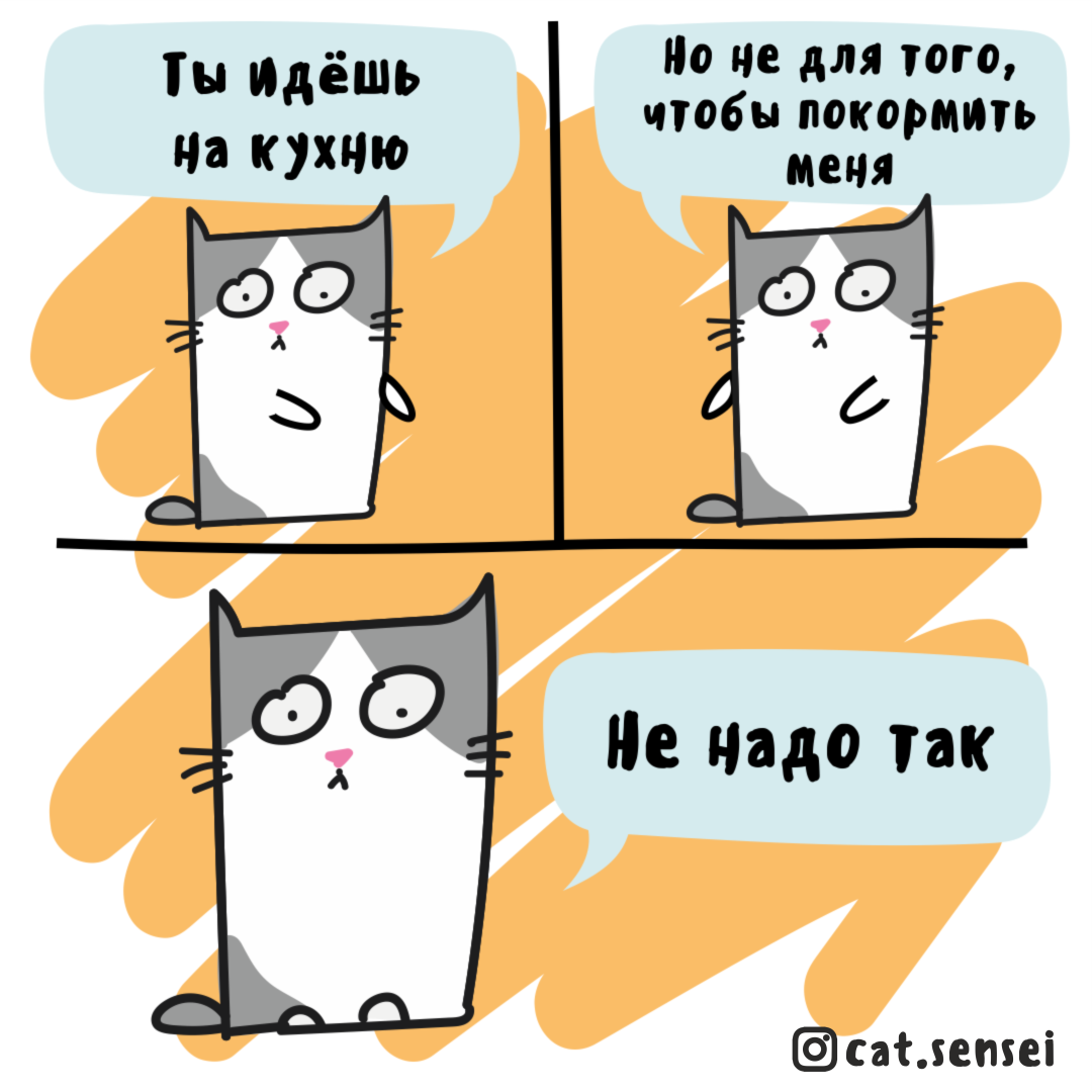 Кот Сэнсэй 