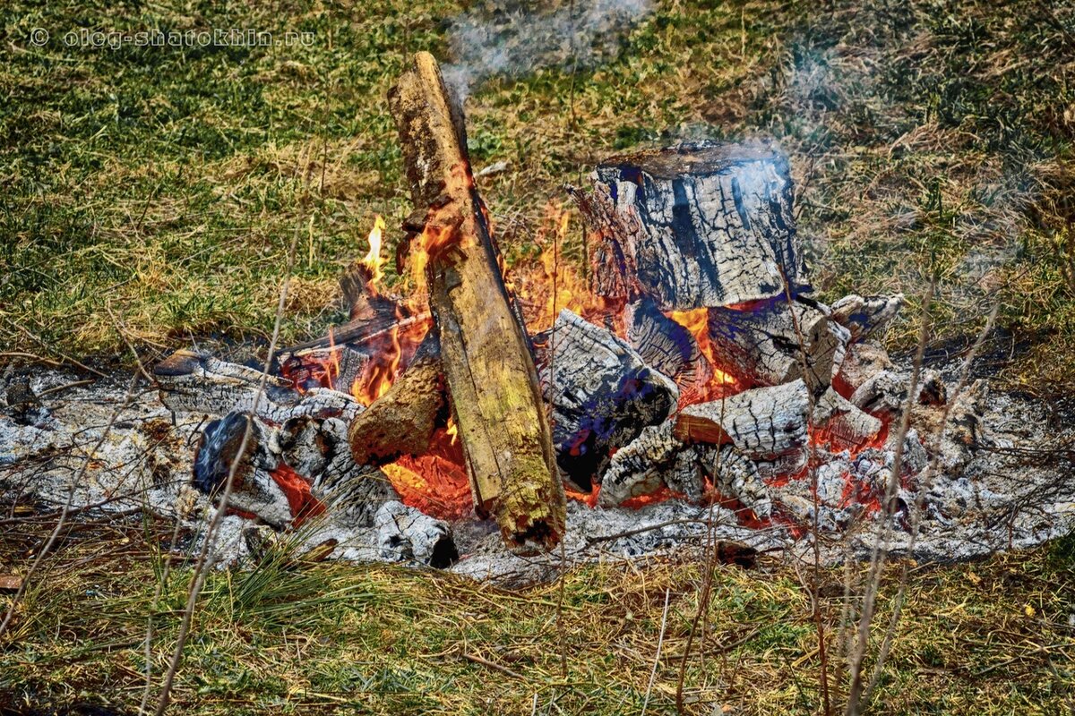Фото Олега Шатохина