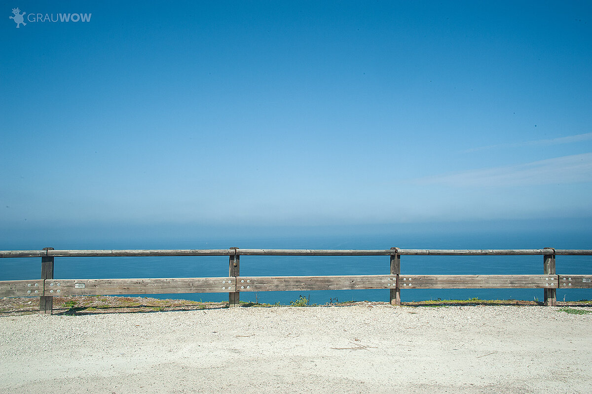 Фото: Надежда Грауберг