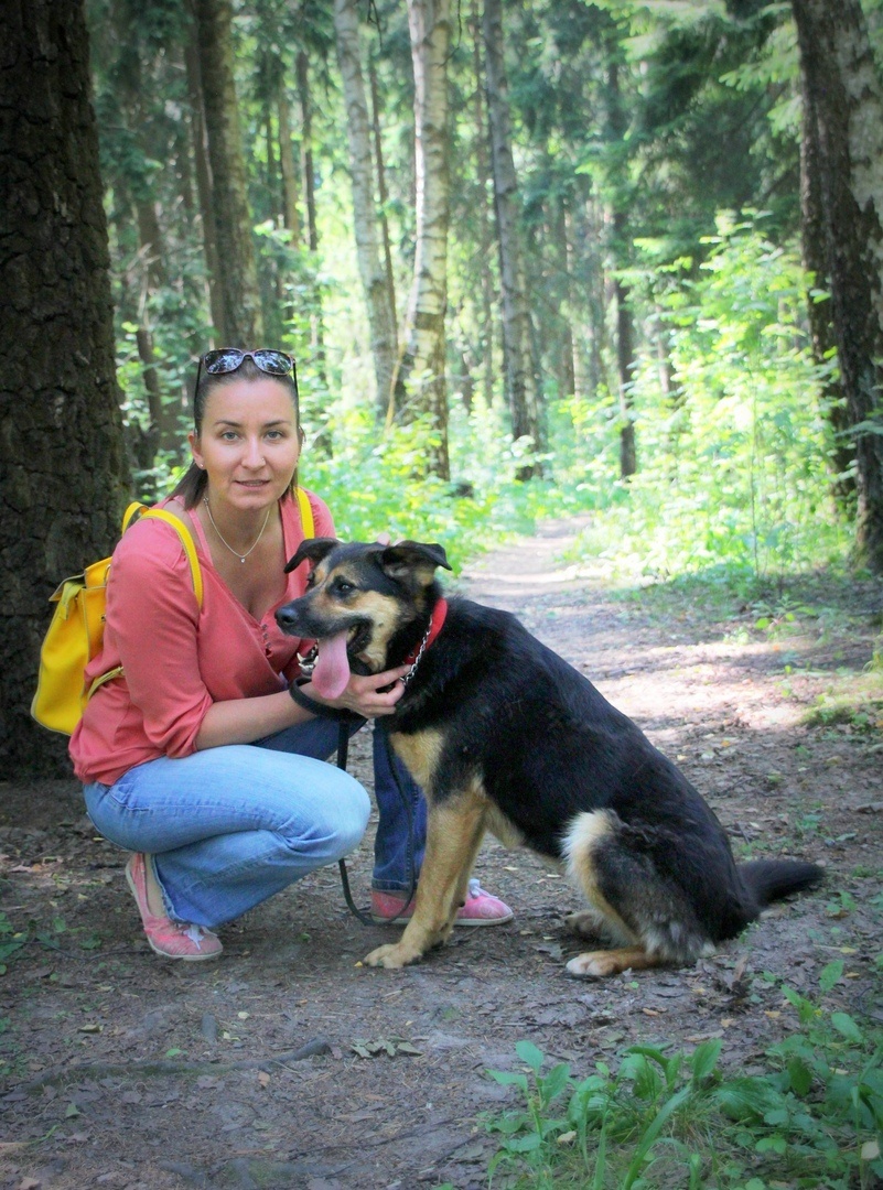 Собака Мальта из Банды Дворян