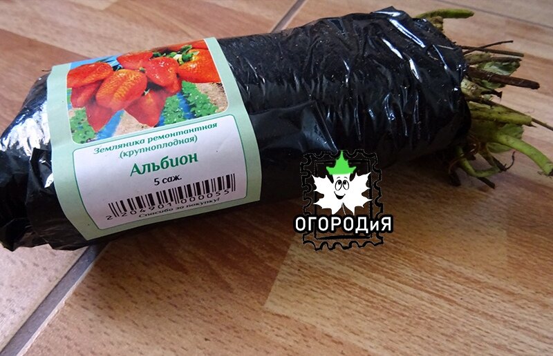 21 июня, 2018 года