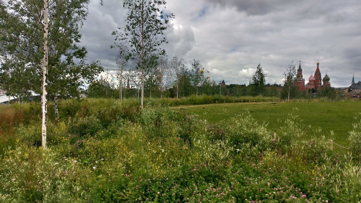 первый раз в Дзене я публикую собственную фотографию. Дебют! 