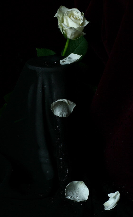 Этого не может быть... Почему за одну ночь опали все лепестки...