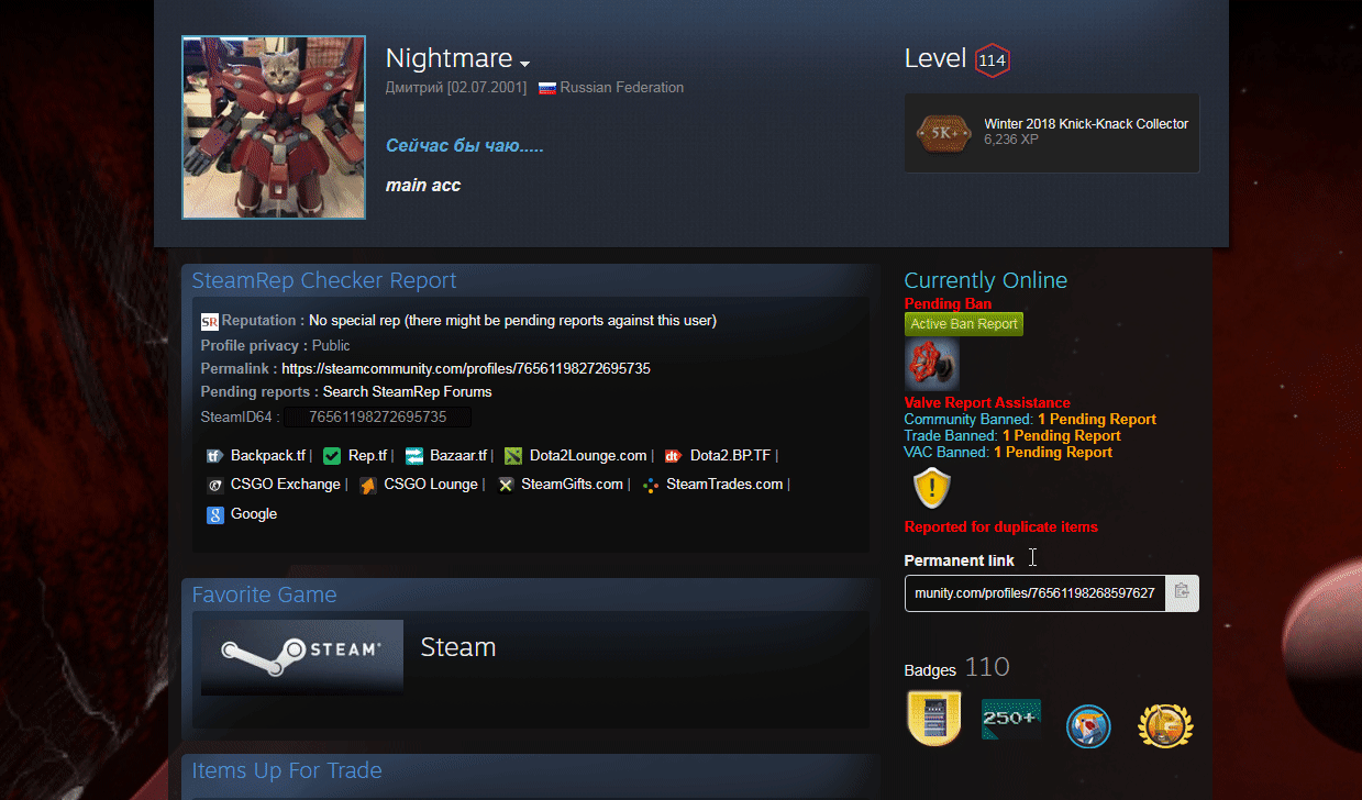 Гифка, на которой мой профиль со стороны мошенника с "интерфейсом разработчика"