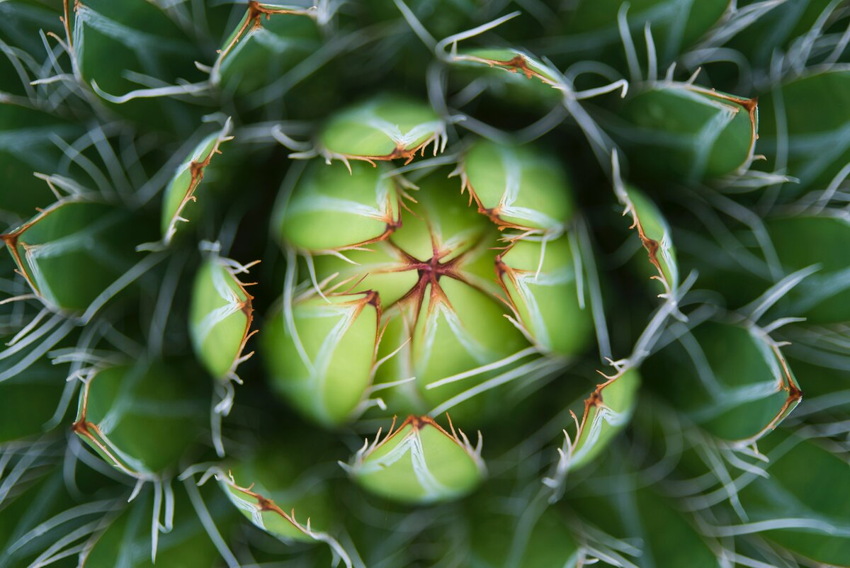 Источник https://unsplash.com/photos/WzK-r3JA3Xo