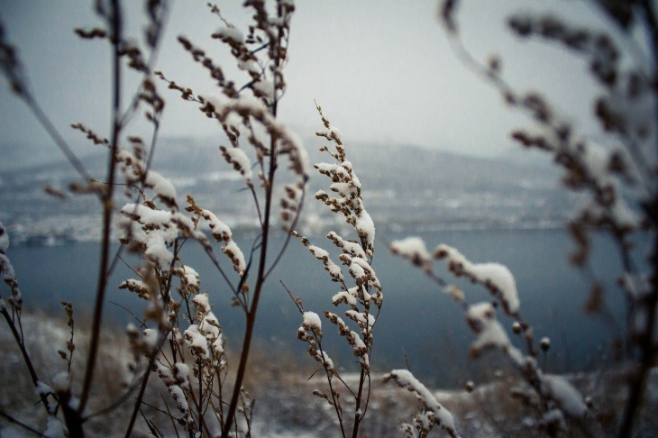  Фото: pixabay.com