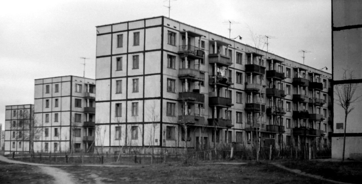 Яндекс Картинки