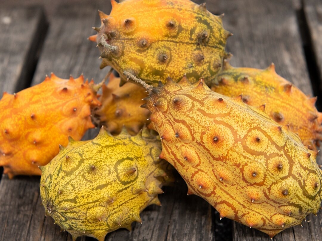 Фото: impecta.se