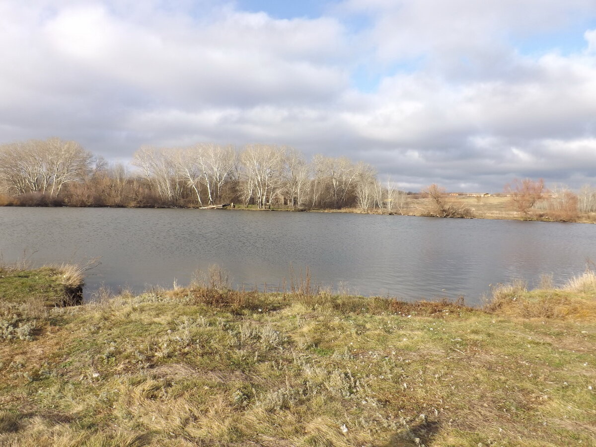 На берегу пруда.