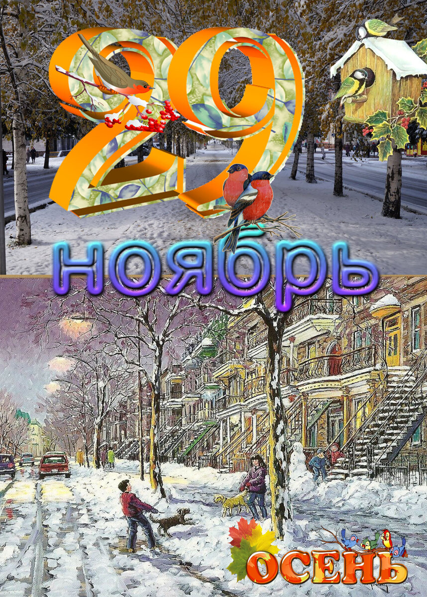 29 ноября