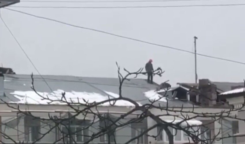 Фото: кадр из видео Instagram @sakhalin_reg