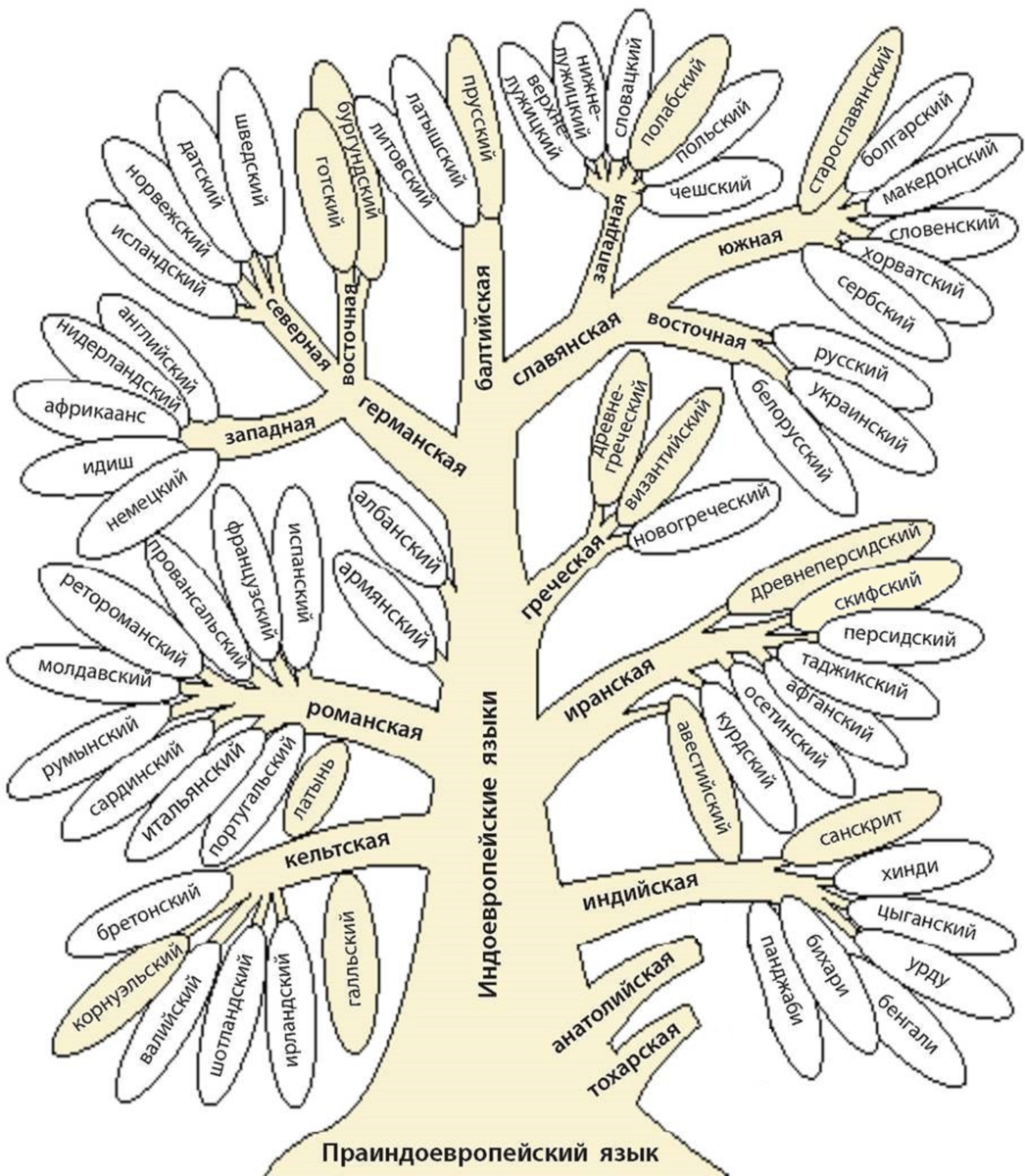 Дерево индоевропейской семьи языков. Генеалогическое Древо индоевропейских языков. Генеалогическое Древо индоевропейской семьи языков. Генеалогическое Древо языков индоевропейская ветвь.