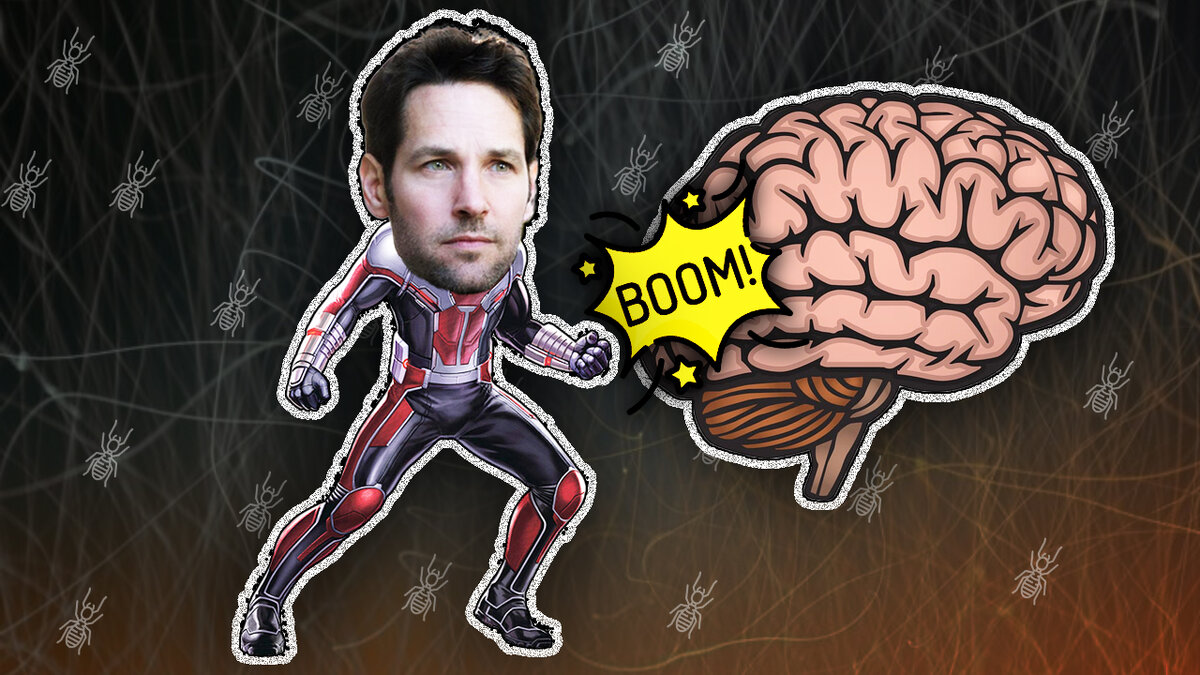 Не забудьте поддержать статью лайком и подпиской на канал!  