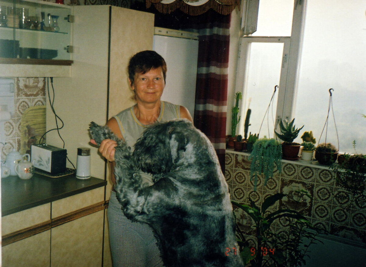 Андромеда , ей здесь уже 9 лет.