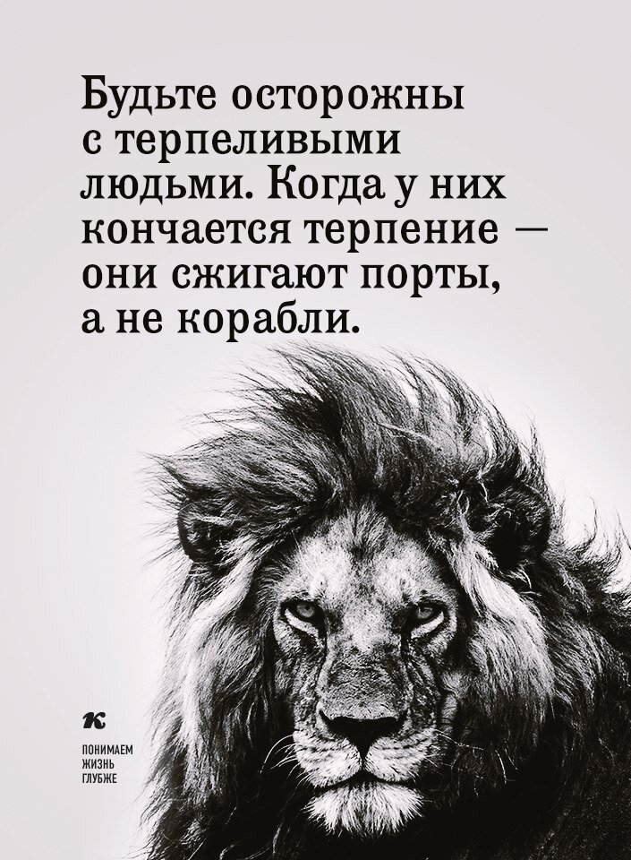 фото с сайта яндекс.картинки