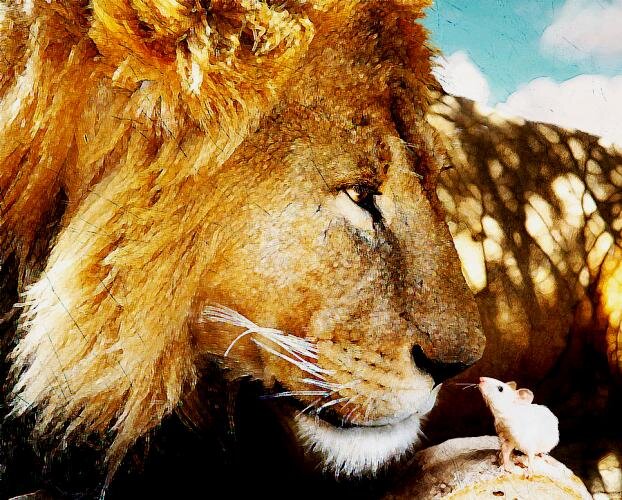 Чем порадует Львов год Белой Крысы