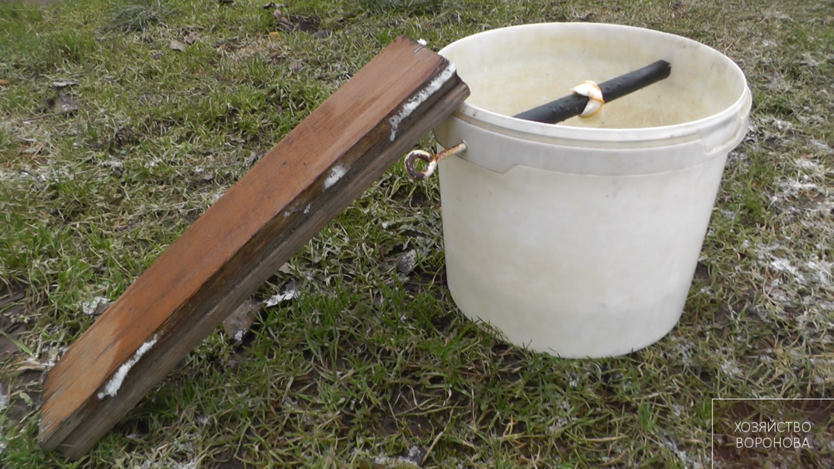 Ловлю мышей