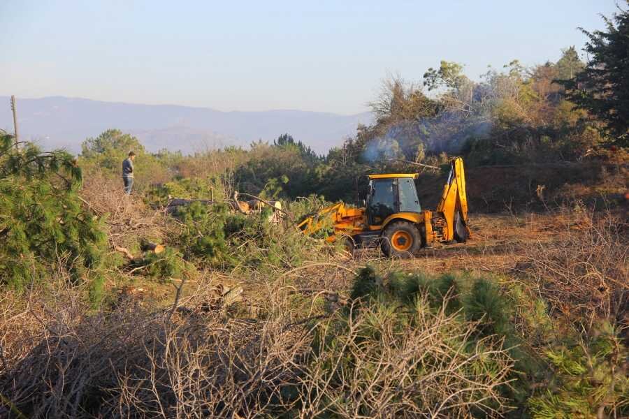  Фото: Владимир Илларионов