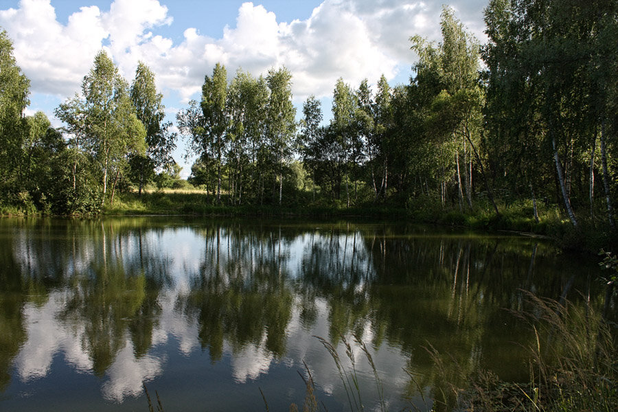 Фото с открытого источника. 