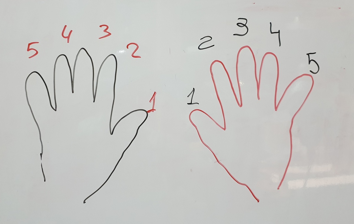 Теперь про нумерацию пальцев. Во всех курсах, книгах предлагается такая нумерация: