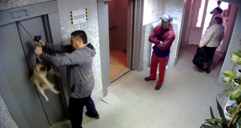 К счастью мужчина снаружи успел отстегнуть поводок собаки и пёс отделался легким испугом